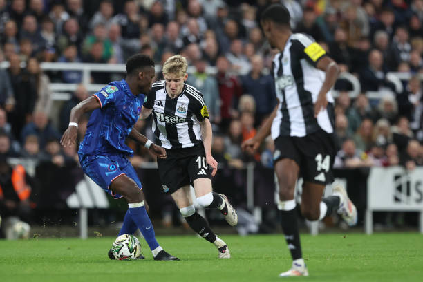 琪鑫组合 琪鑫组合